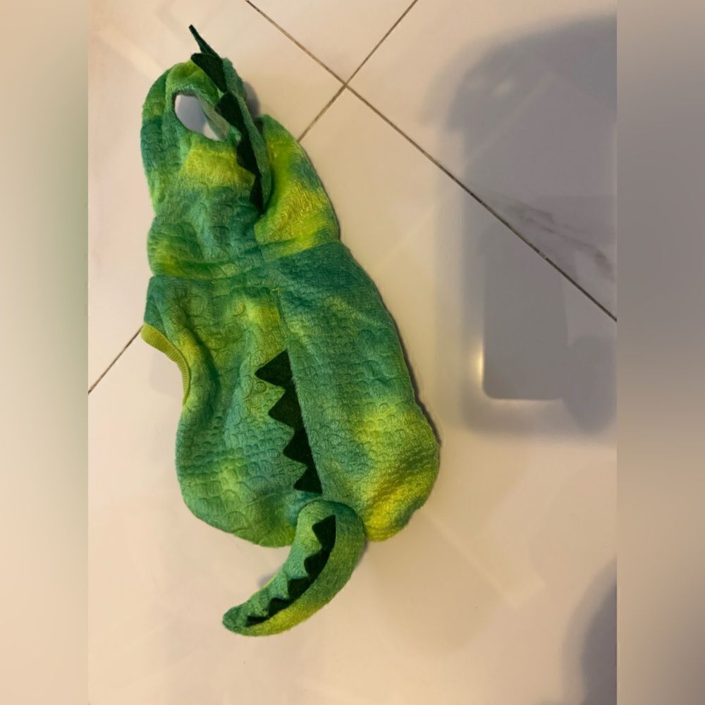 Dinosaur dog costume #20